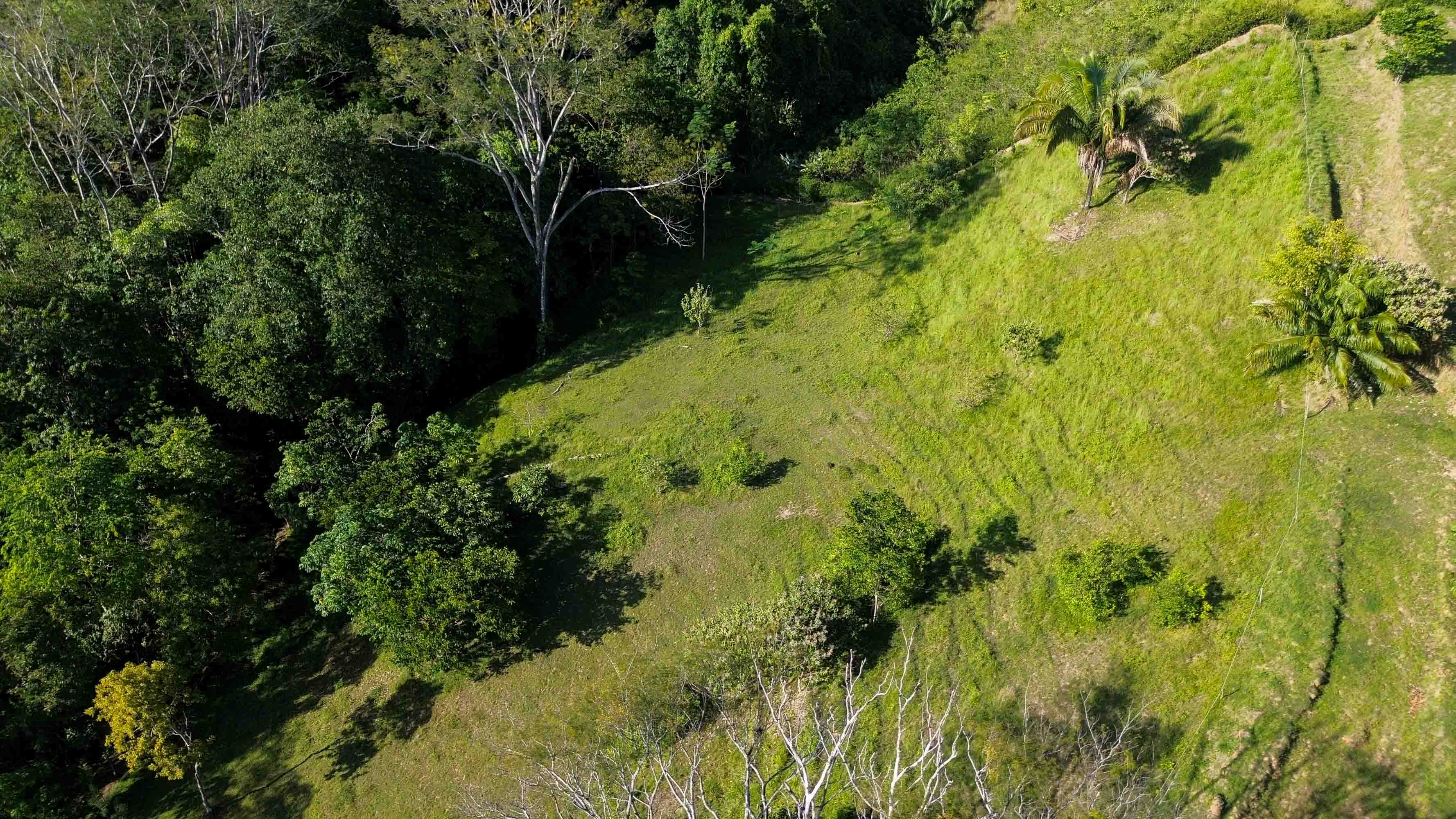 18-Acre Ocean View Development Parcel in Playa Hermosa selected