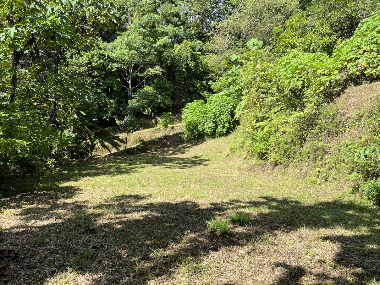 Charming Mountain Retreat in Vergel de Osa – Minutes from Ojochal, Beaches, and Waterfalls selected