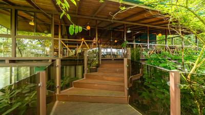 Where the Journey Begins | Private Jungle Estate at Nauyaca Waterfalls image 4
