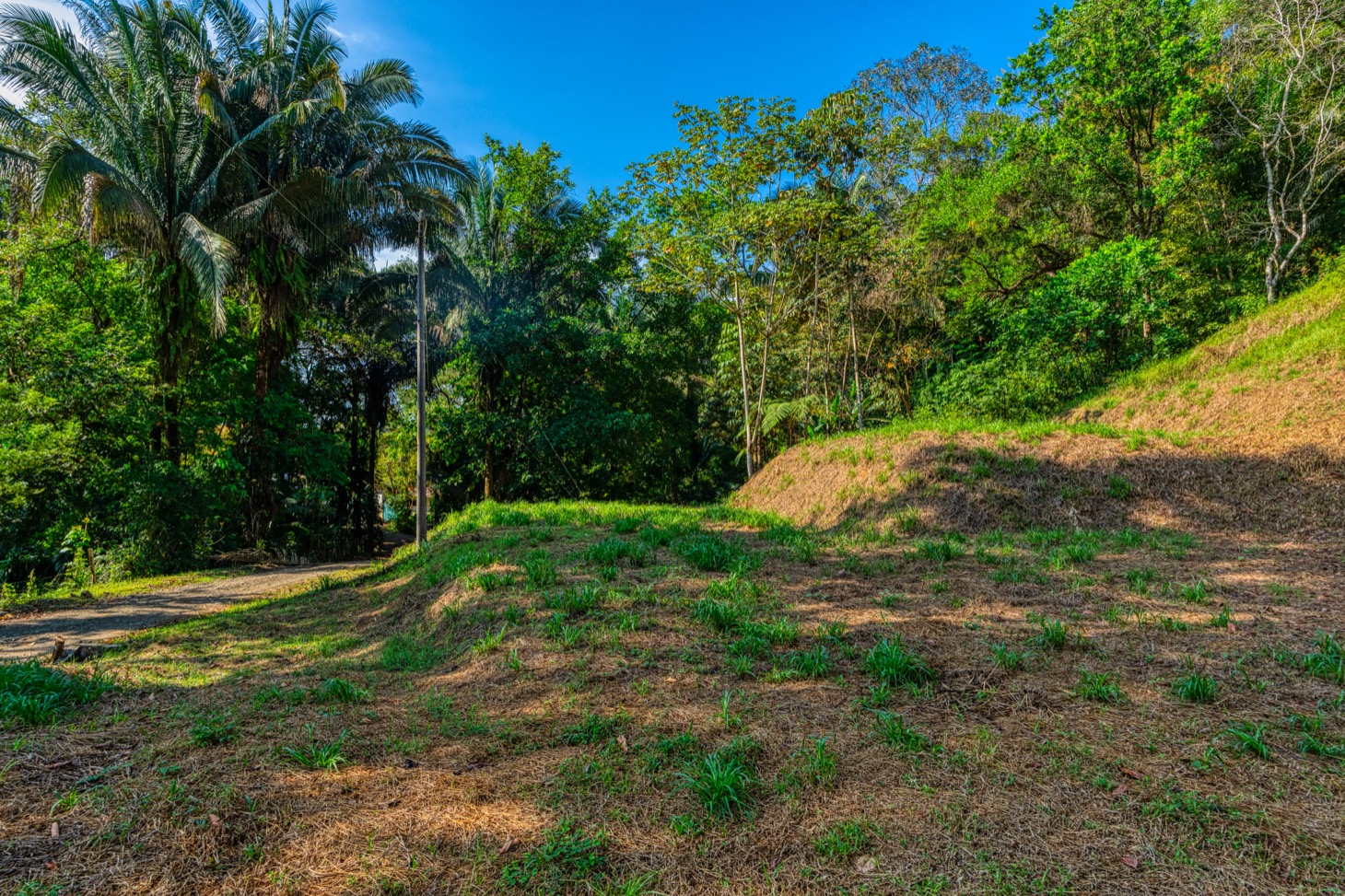 Ocean-View Property with Prime Location and Development Potential in Uvita selected