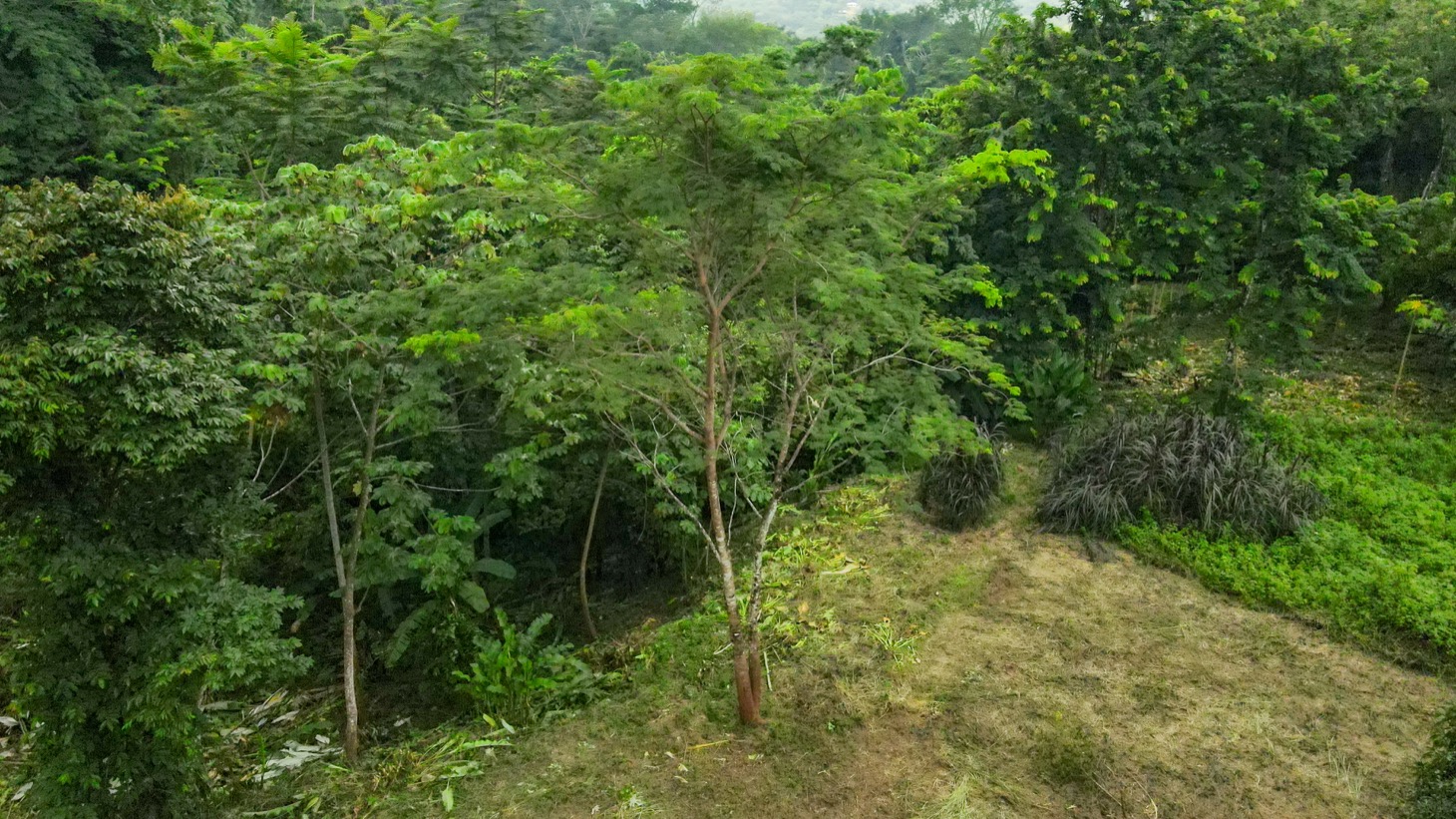 Riverfront Property for Sale in Ojochal, Costa Rica – Nearly 1 Hectare of Flat, Buildable Land selected