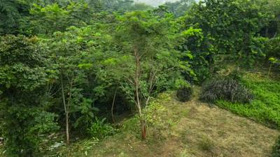 Riverfront Property for Sale in Ojochal, Costa Rica – Nearly 1 Hectare of Flat, Buildable Land image 4
