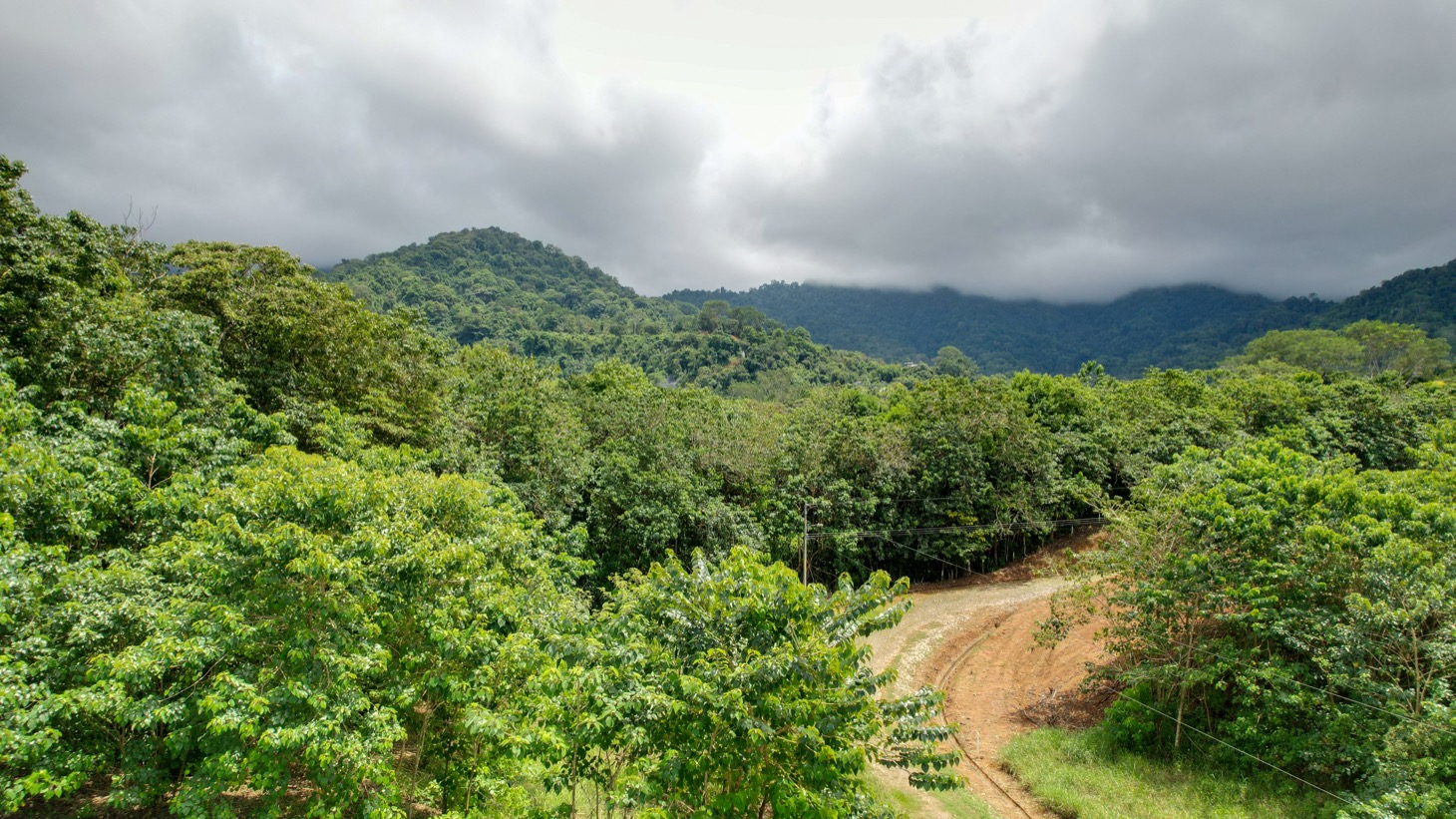 Prime Lot in Phase 11, Ojochal – Privacy, Views & Space to Create selected