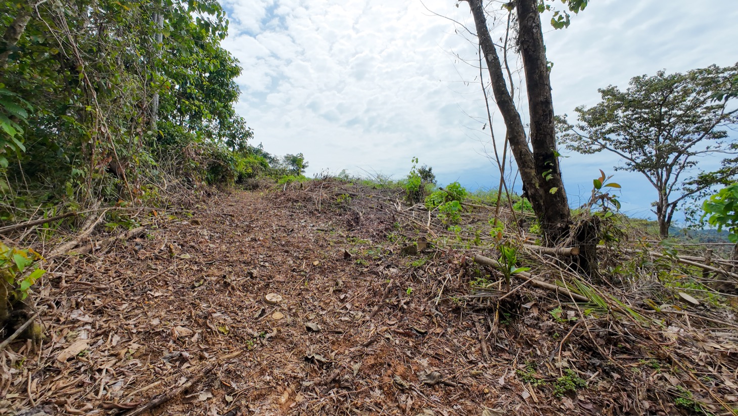 Prime Ocean View Lot in Ojochal – Your Costa Rican Dream Awaits selected