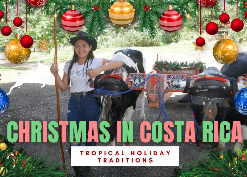 Christmas in Costa Rica A Celebration of Warmth and Community