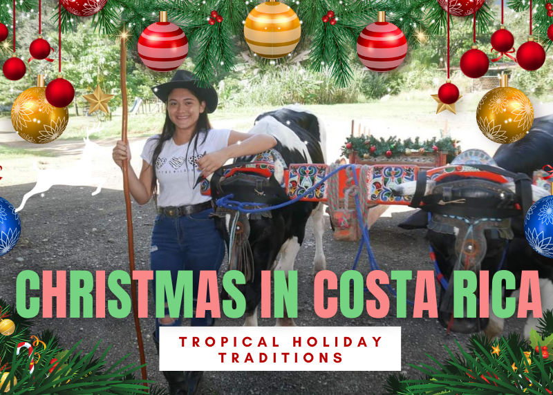 New Year?s Day Around the World: 6 Costa Rican New Year's Traditions - Stay  in Tamarindo