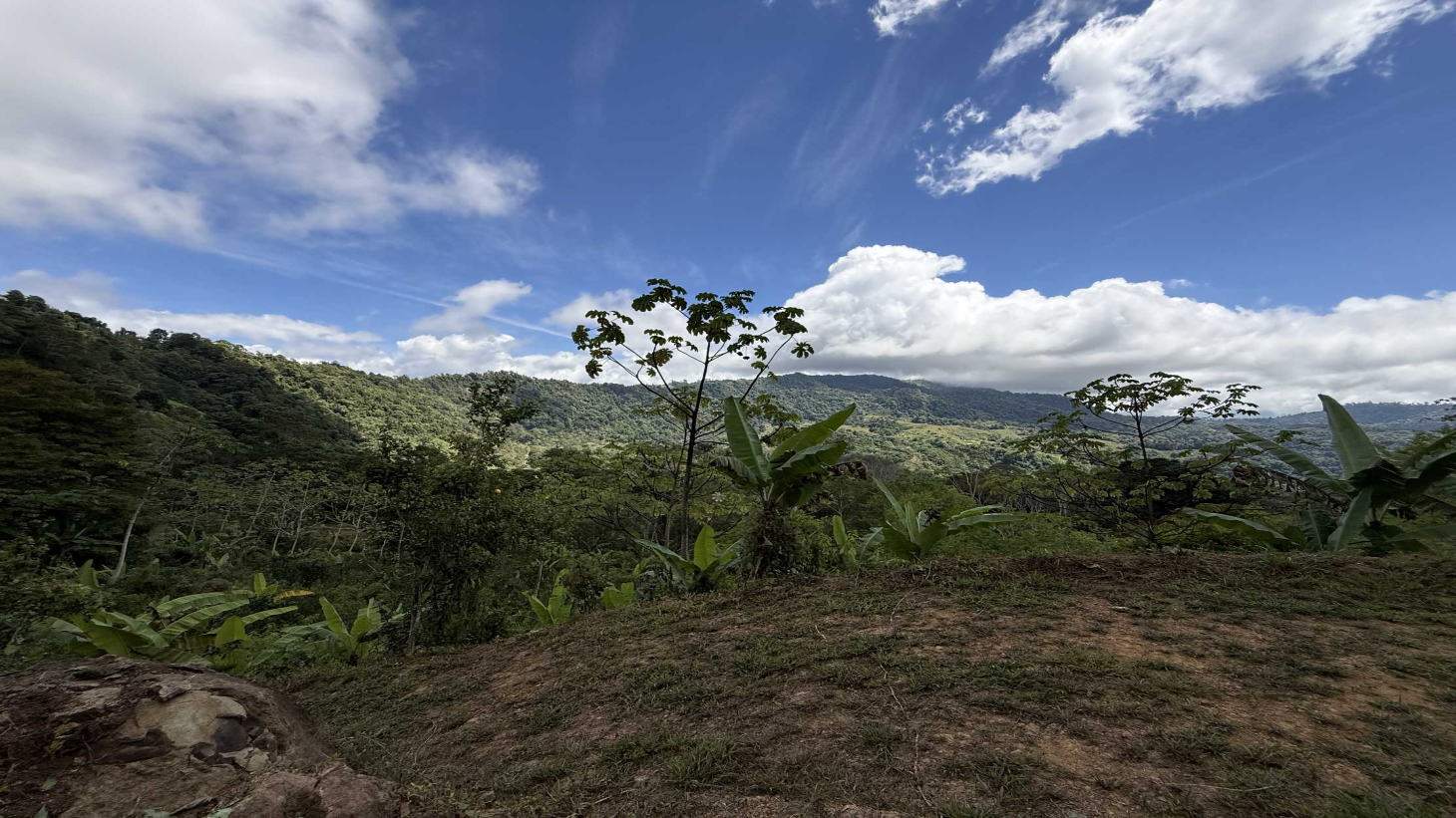 Jungle Lot with 3+ Building Sites, Legal Water, Electricity on Public Road with Big Valley & Mountain Views near San Josecito Costa Rica selected