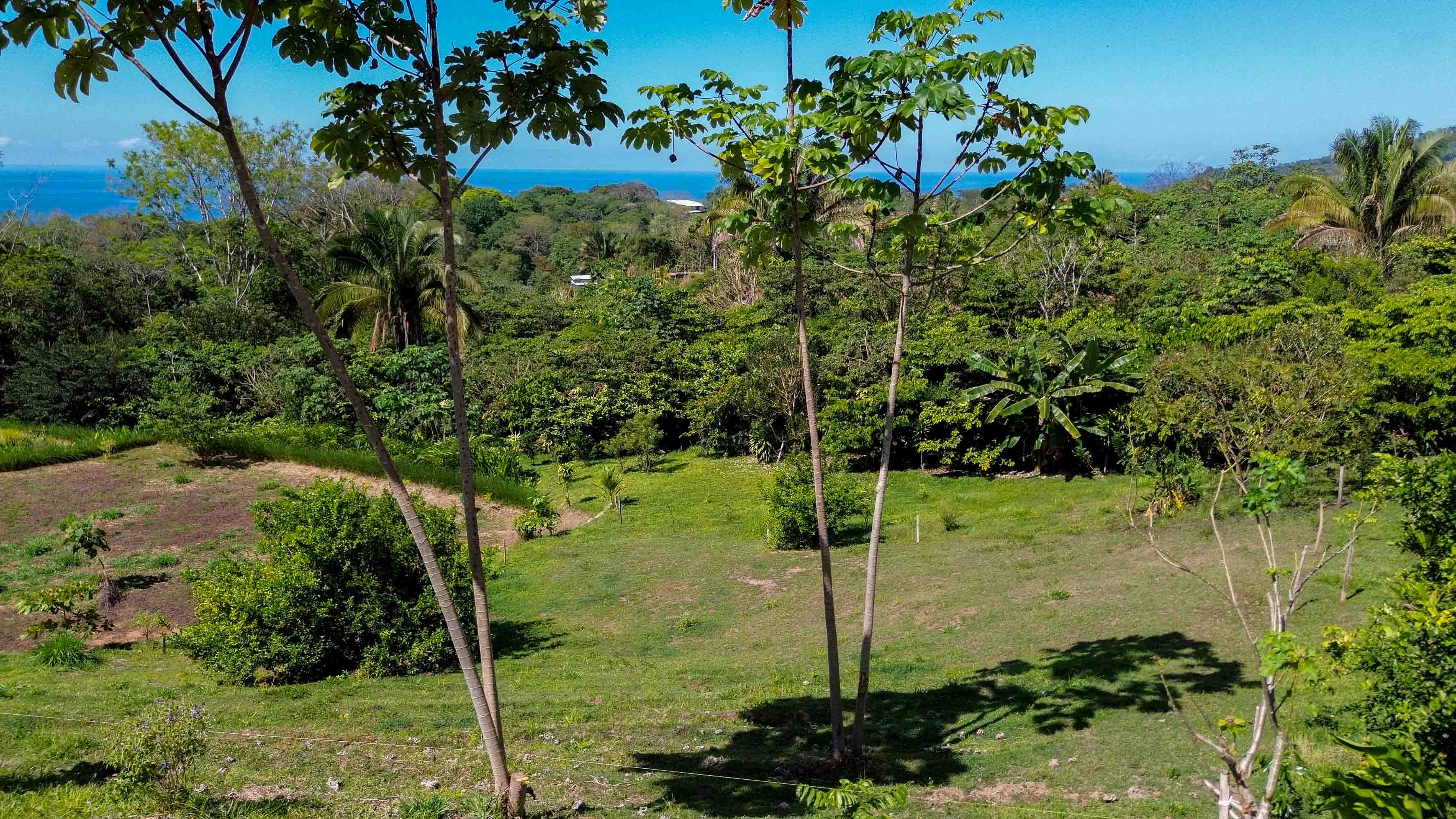 18-Acre Ocean View Development Parcel in Playa Hermosa selected
