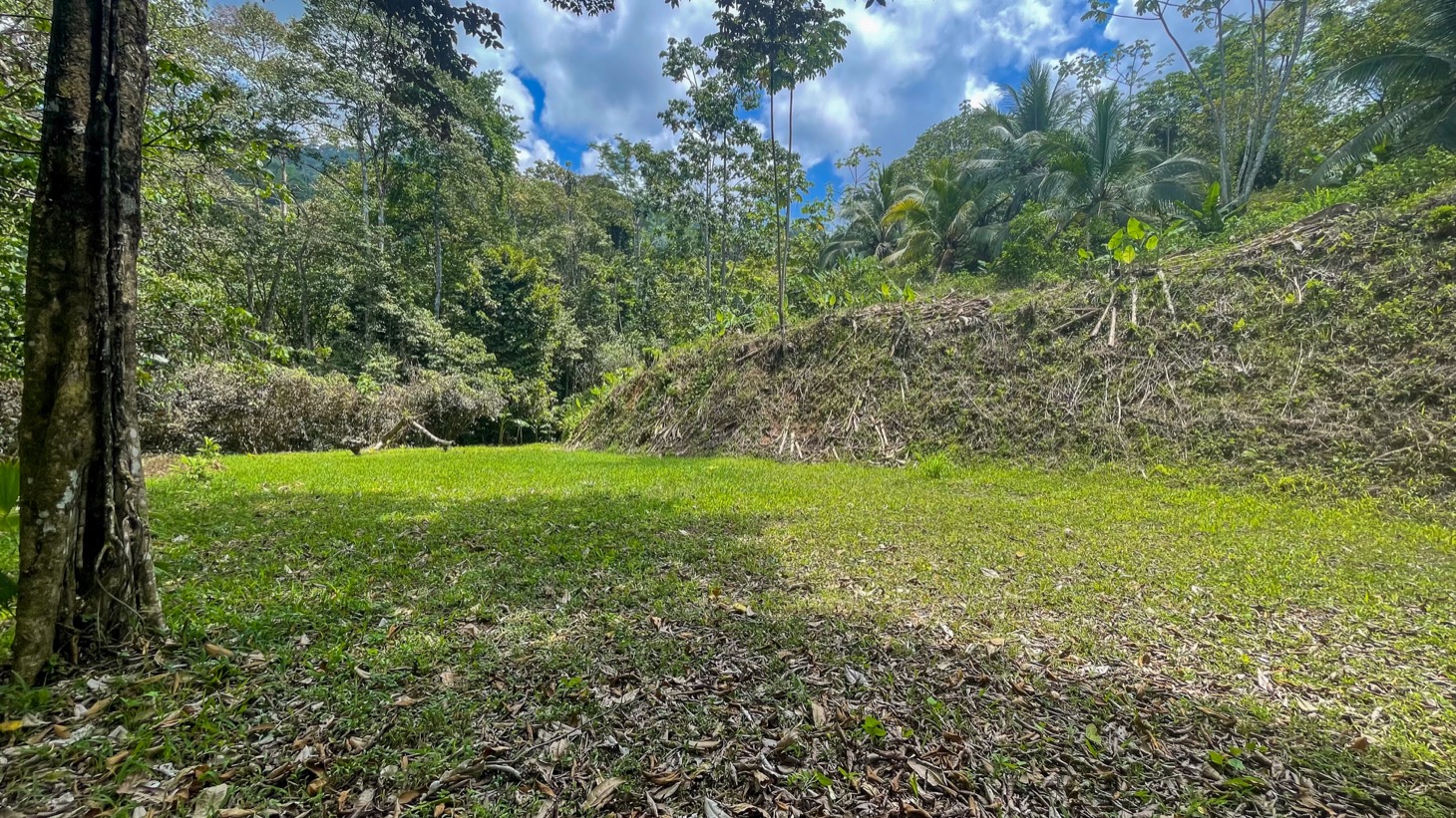Land for Sale Near Ojochal, Costa Rica – Lot with Water & Electricity Near El Pavón Waterfall selected