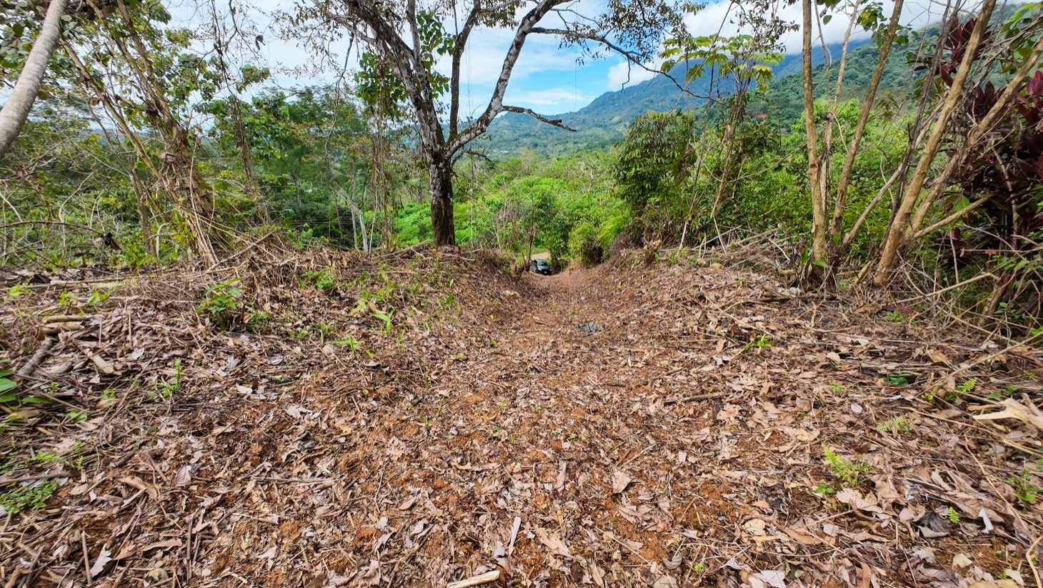 Prime Ocean View Lot in Ojochal – Your Costa Rican Dream Awaits selected