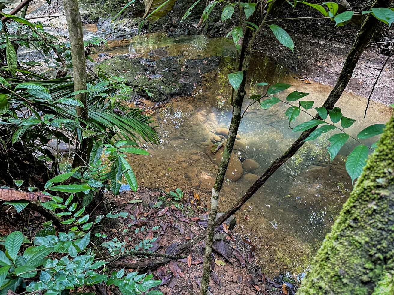 1-Bedroom Jungle River Retreat with Room to Build Your Dream Home in the Heart of Ojochal selected