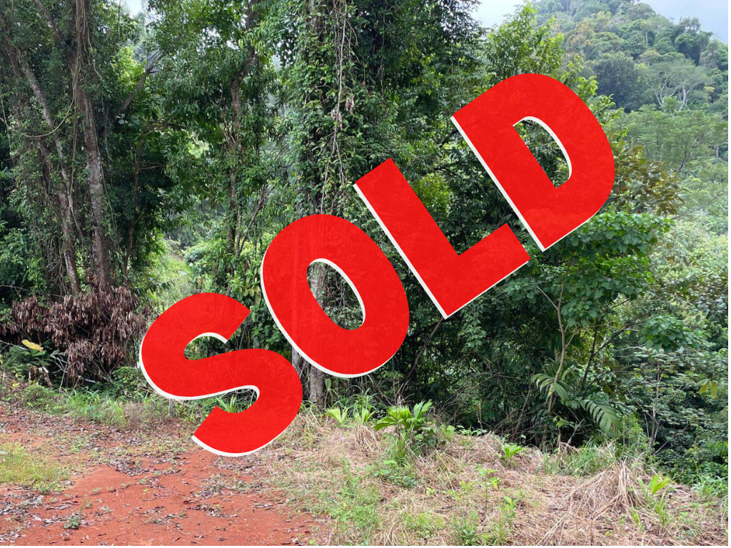 Mountain View Bargain Lot In Costa Azul, Tres Rios