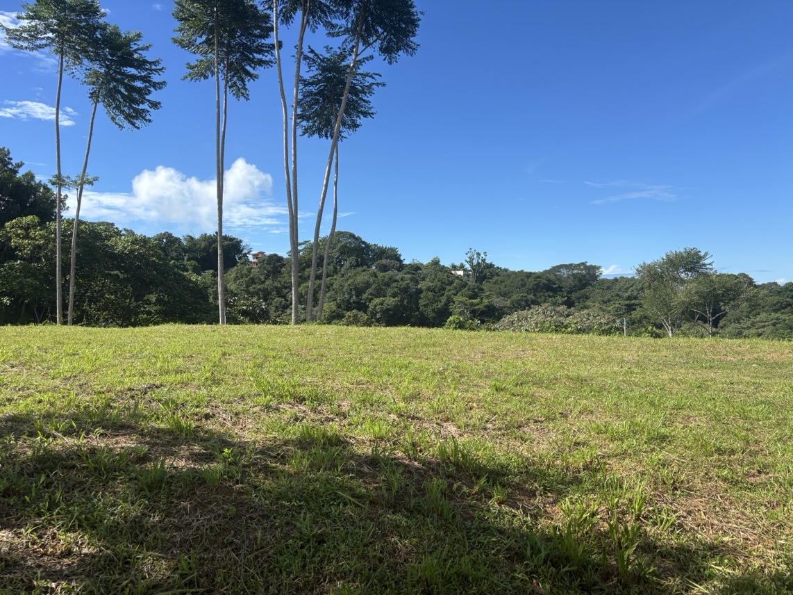 Two Ocean View Properties in Ojochal – 5.33 Acres of Pure Paradise selected