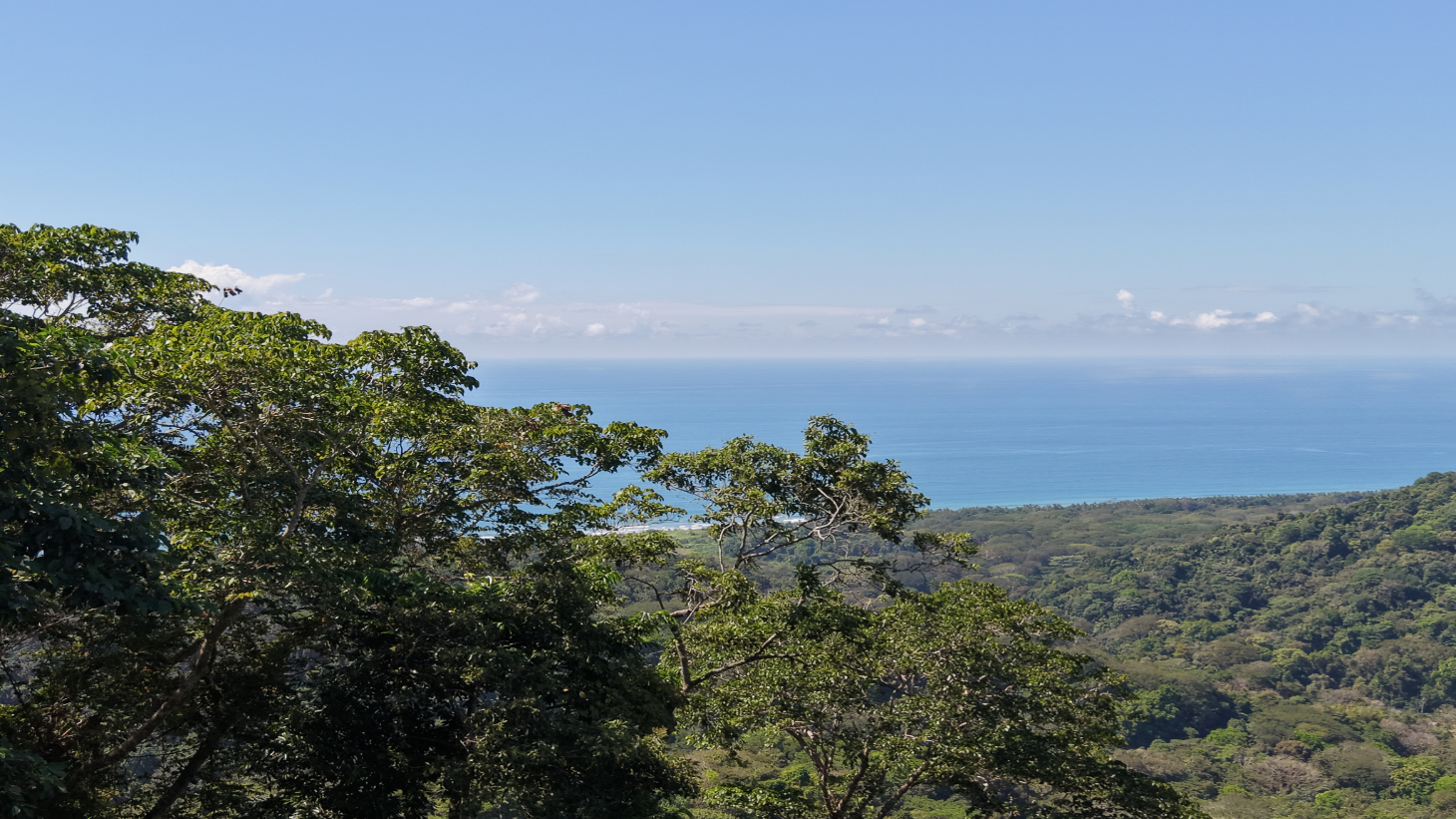 Premium Ocean View Homesite in Vista Dominical Estates - Lot #17 selected