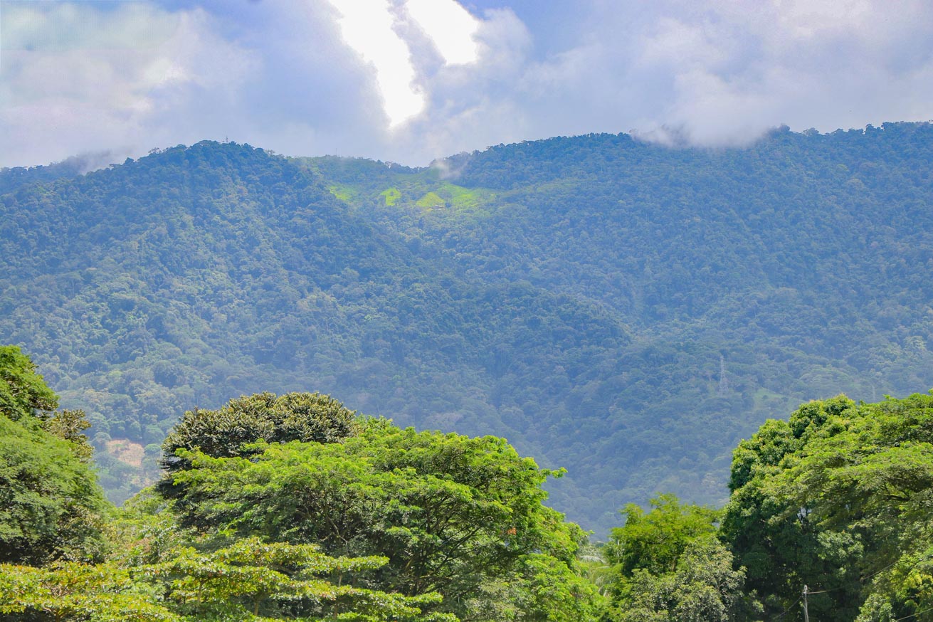 3.7-Acre Airport-Adjacent Property with Direct Runway Access, Prime Zoning, and Mountain Views selected