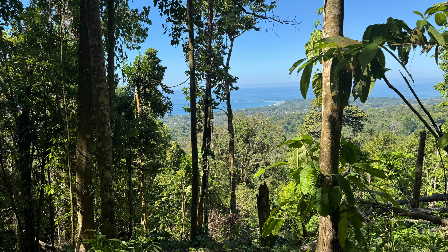 Front-Row Ocean View Lot in the Exclusive Mountains of La Unión selected