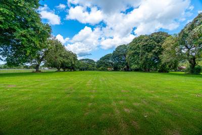 13.4 Acres of Prime Development Land with Direct Airport Access in Palmar Sur image 2