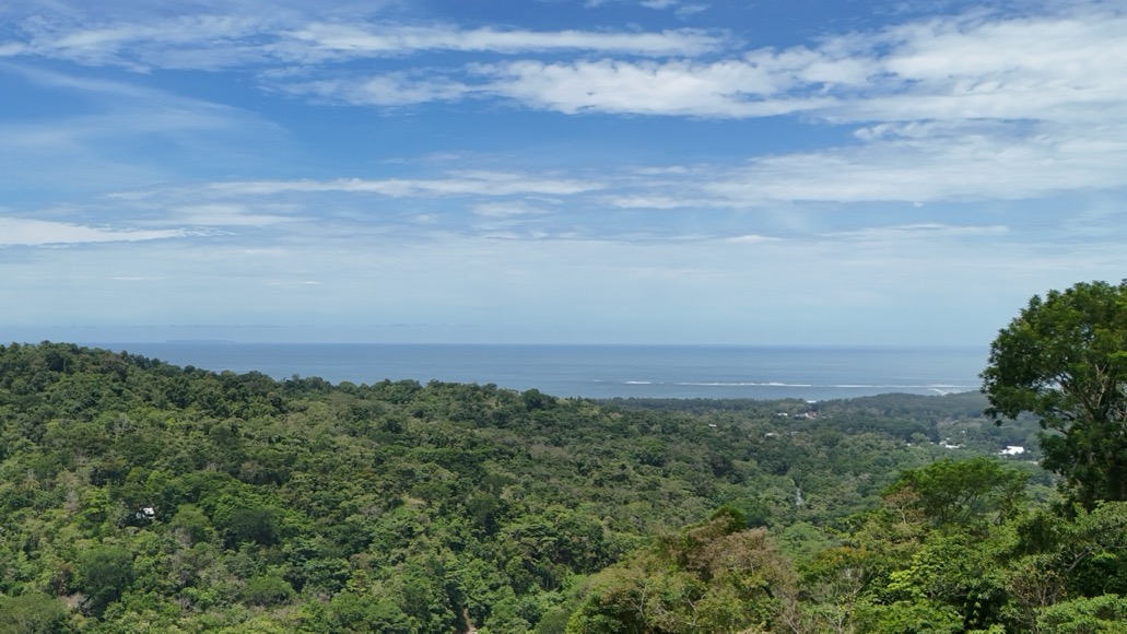 Expansive Oceanview Estate Lot in Uvita selected