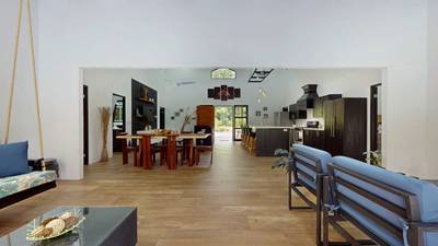 Contemporary Jungle Retreat in Tres Rios, Costa Rica image 5