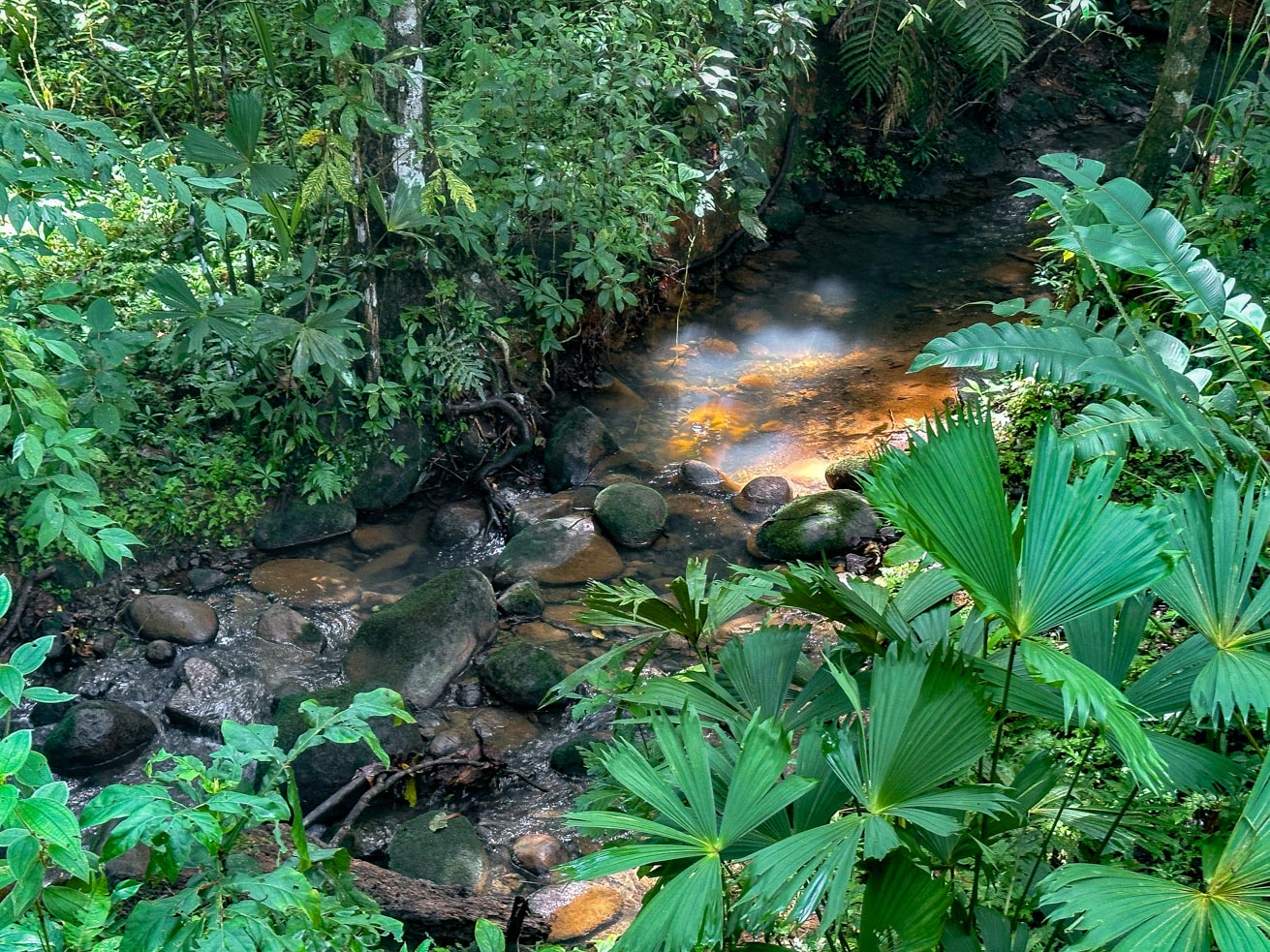 Jungle Sanctuary with Income-Generating Casitas, Creek, Pool & Ultimate Privacy in Ojochal selected