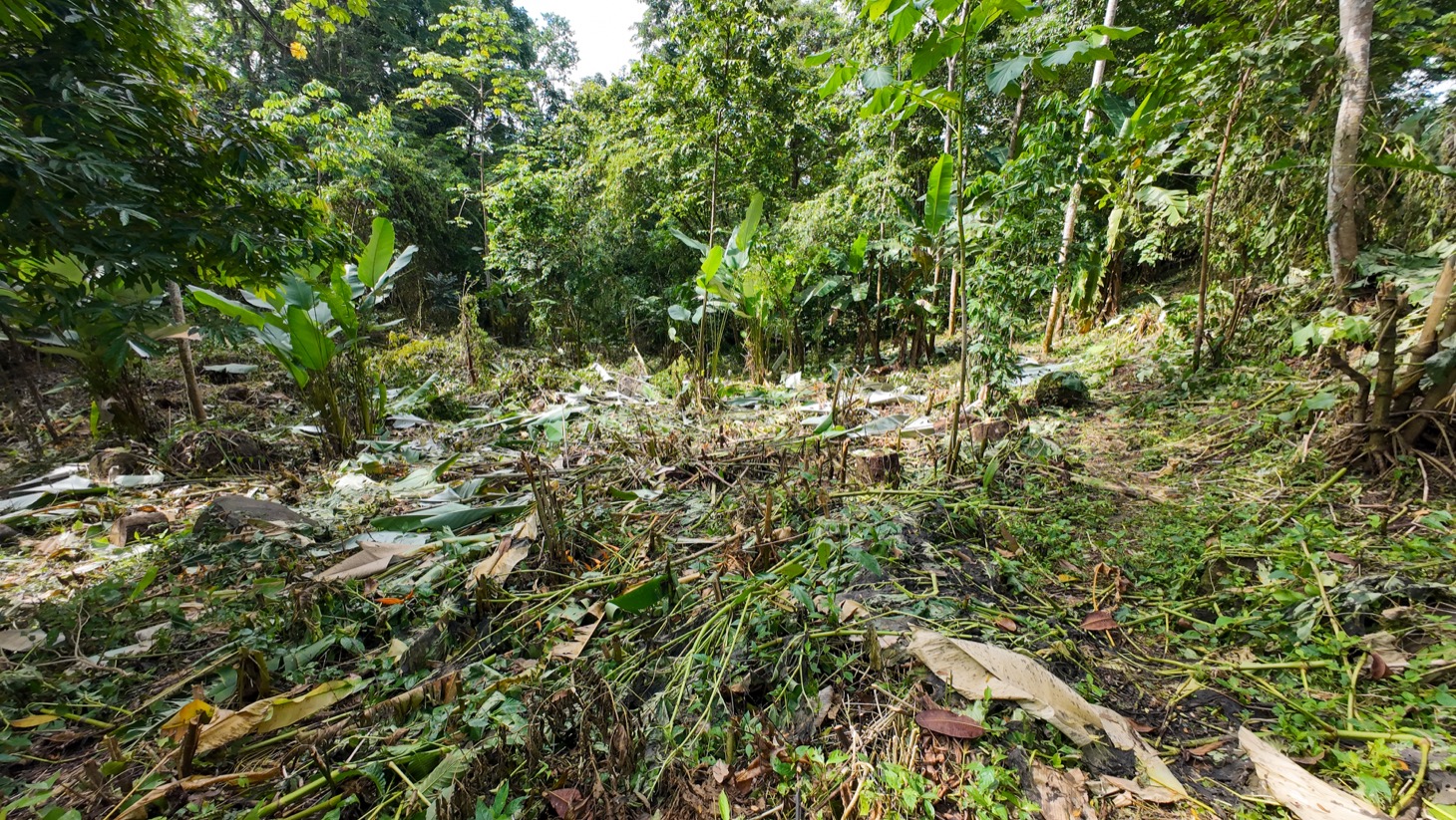 Riverfront Property for Sale in Ojochal, Costa Rica – Nearly 1 Hectare of Flat, Buildable Land selected