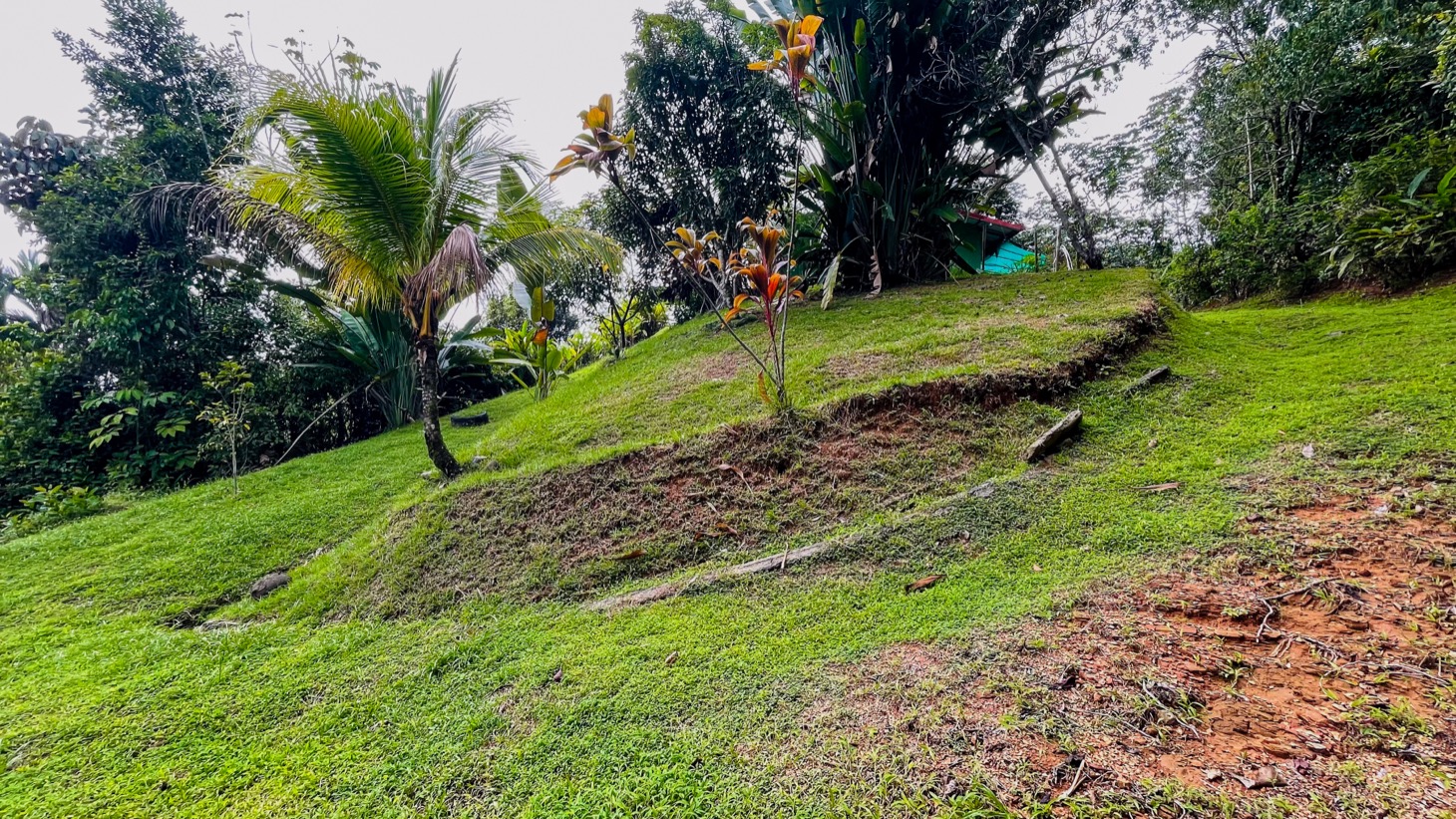 Two Homes on 1.55 Acres with Ocean & Mountain Views – Plus Room to Build! selected