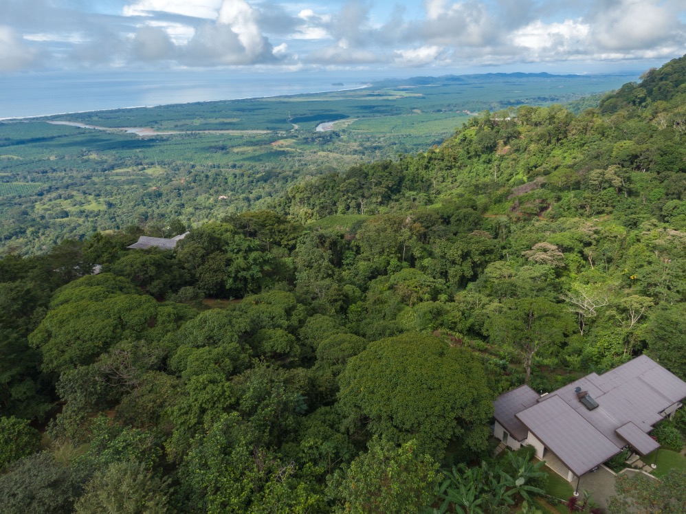 Luxury Ocean View Estate in the Hills of Portalón — Single-Level Turnkey Living at Its Finest selected