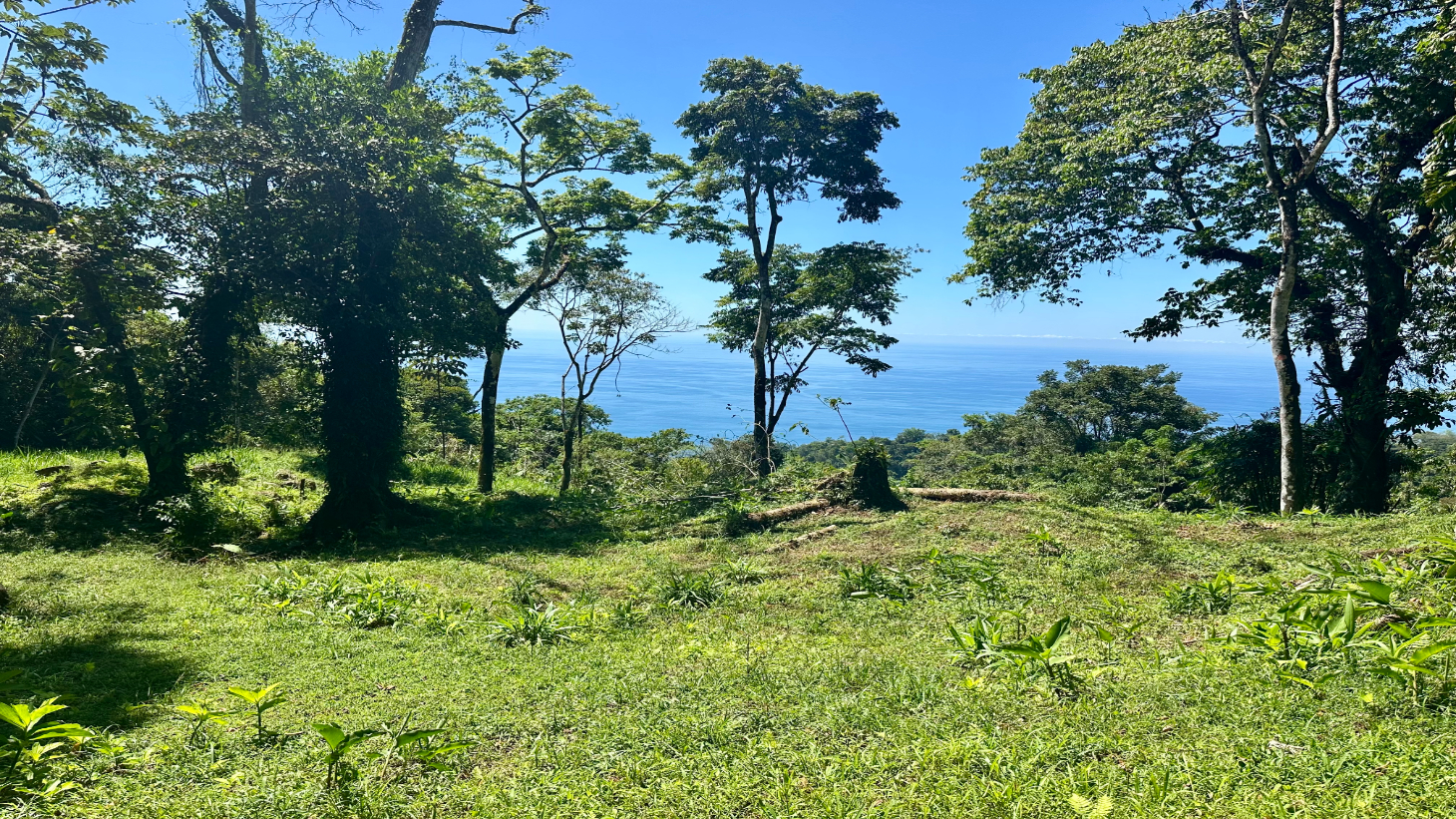 Exclusive 5.80 acres Ocean View Estate Lot in Costa Verde Estates – Escaleras selected