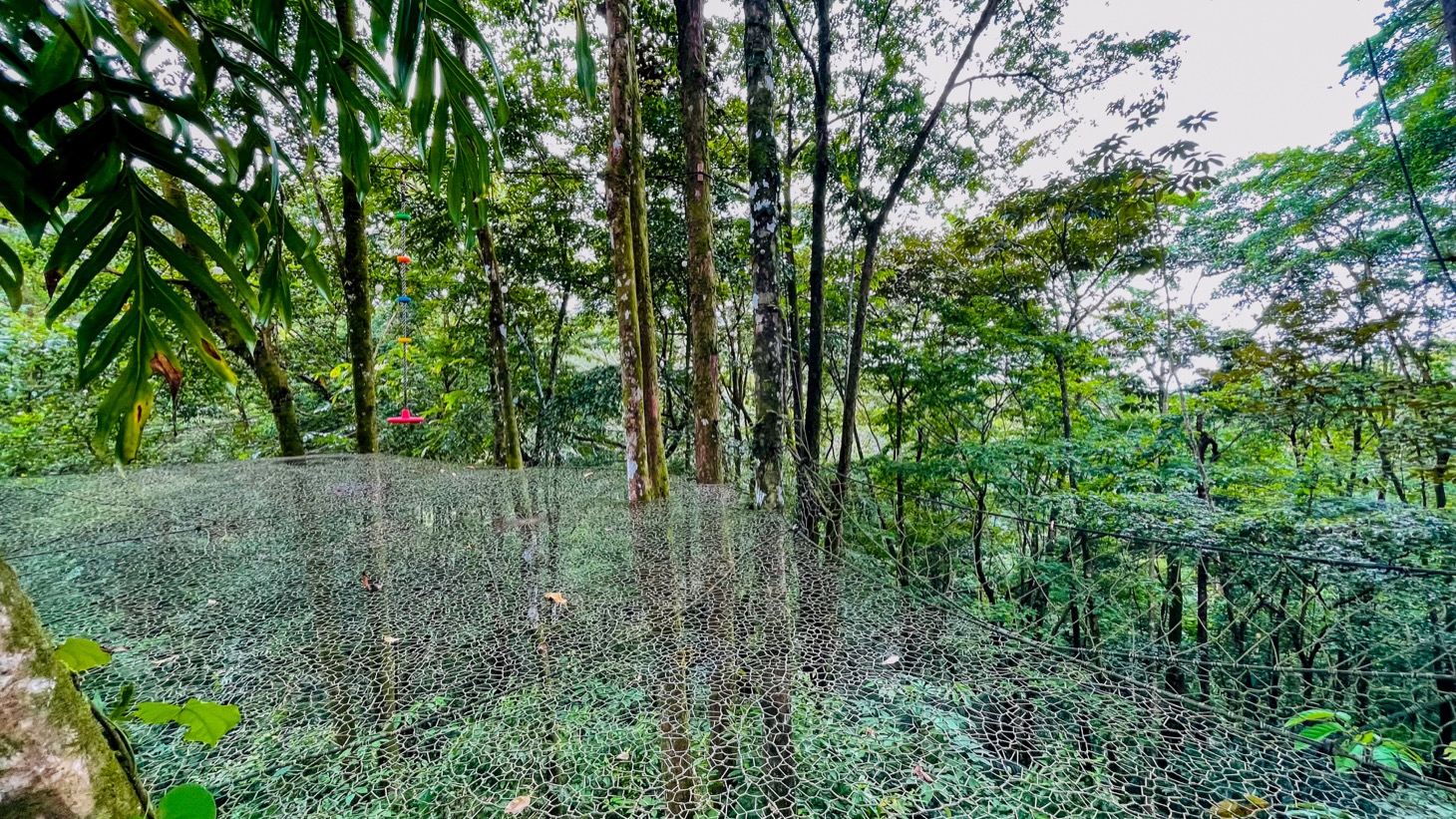 Your Family's Private Jungle Paradise Home in Uvita, Costa Rica selected