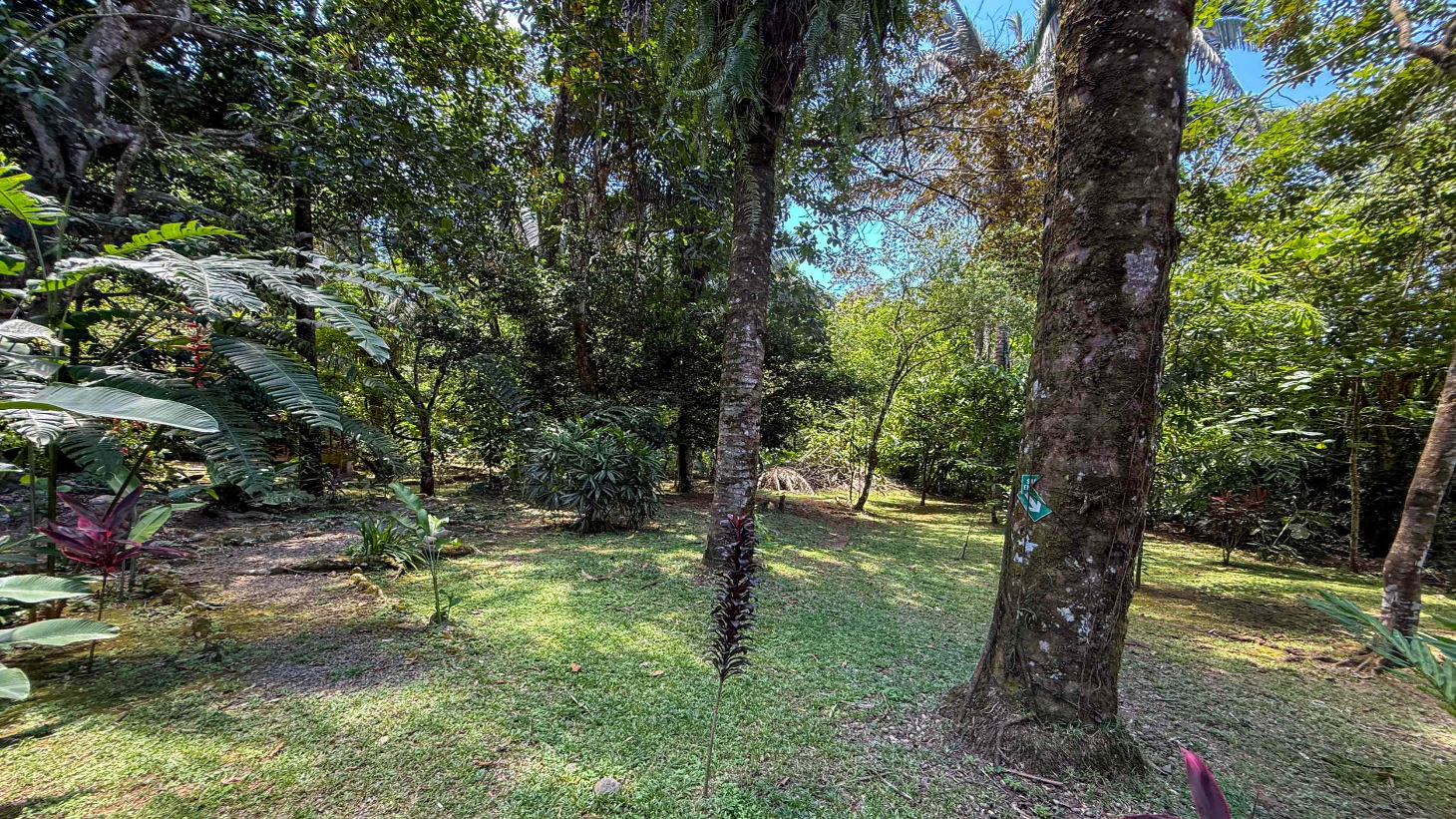 Gorgeous Jungle Hotel with 11 Beds including Owner/Manager Unit, Sparkling Pool & River Setting in Ojochal Costa Rica selected