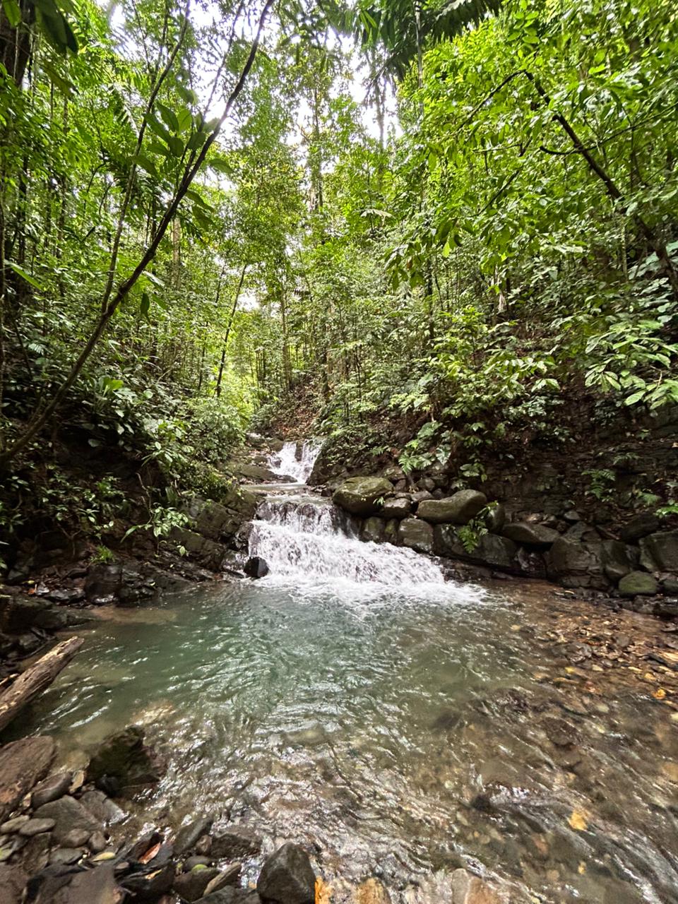 87 Acres of Natural Wonder and Endless Possibility in Ballena, Costa Rica selected