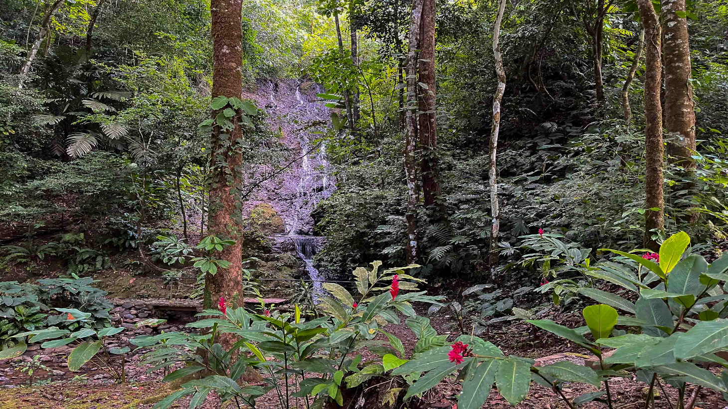 Waterfall Home in Private Community Affordable Jungle Home selected