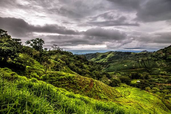 Costa Rica is a Natural Leader in Sustainable Business Development