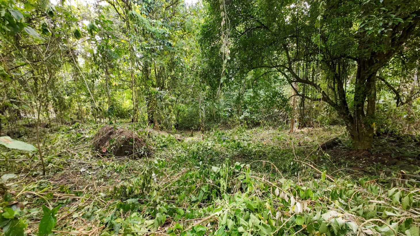 Riverfront Property for Sale in Ojochal, Costa Rica – Nearly 1 Hectare of Flat, Buildable Land selected