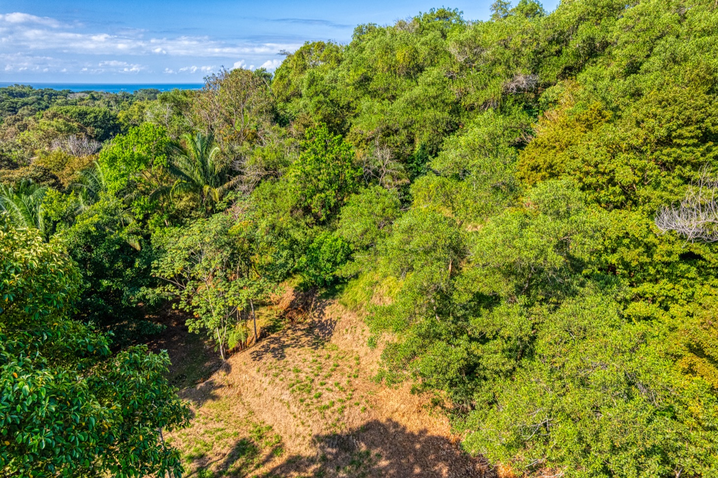 Ocean-View Property with Prime Location and Development Potential in Uvita selected