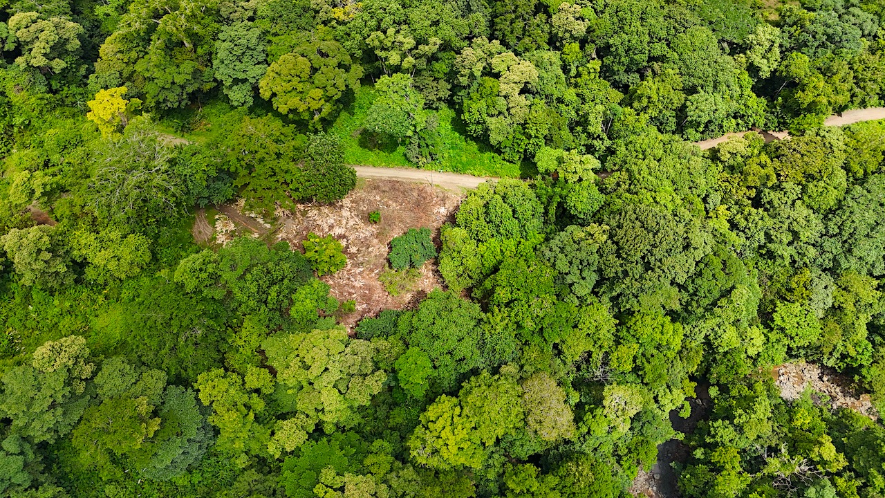 3.5 Acres with River Frontage in Tres Ríos selected