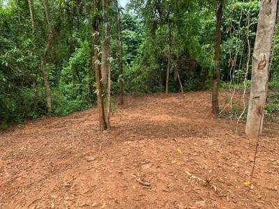 Discover Your Dream Lot in the Heart of Caracara Ridge, Ojochal image 5