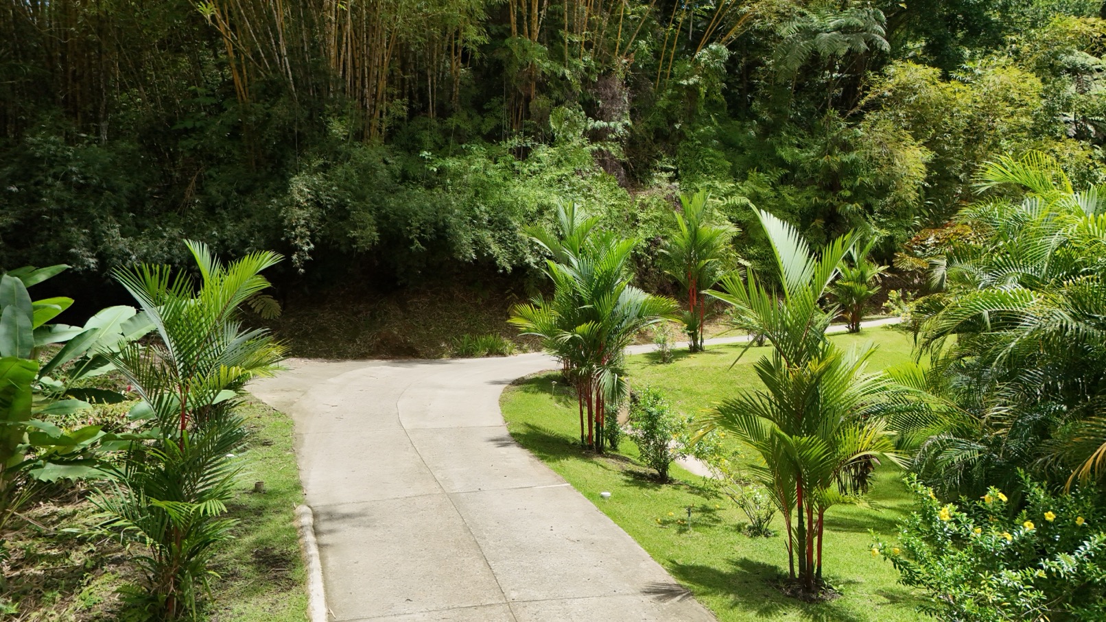 Expansive Oceanview Estate Lot in Uvita selected