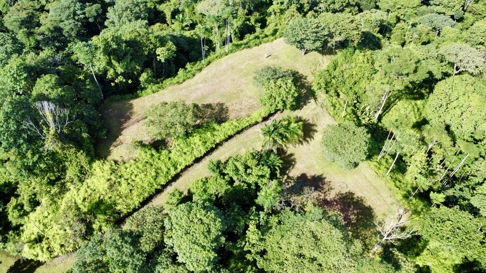 Two Ocean View Properties in Ojochal – 5.33 Acres of Pure Paradise selected