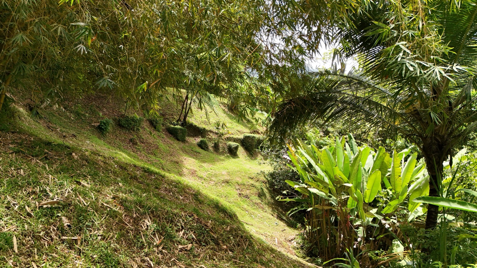 Expansive Oceanview Estate Lot in Uvita selected