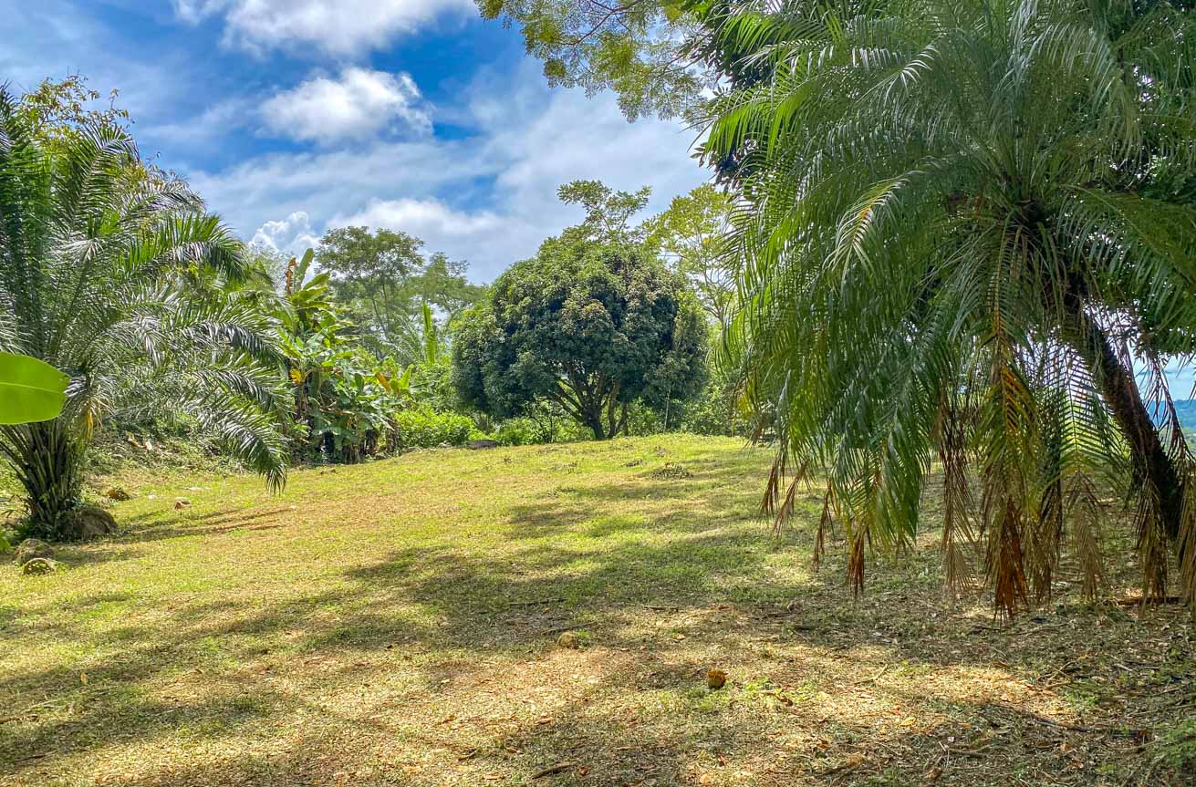 Large Uvita Lot with Whale’s Tail Ocean Views, Sunsets & Legal Water – Ready to Build selected