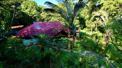 Private Dominical Retreat Main Home Guest House and Rancho image 4
