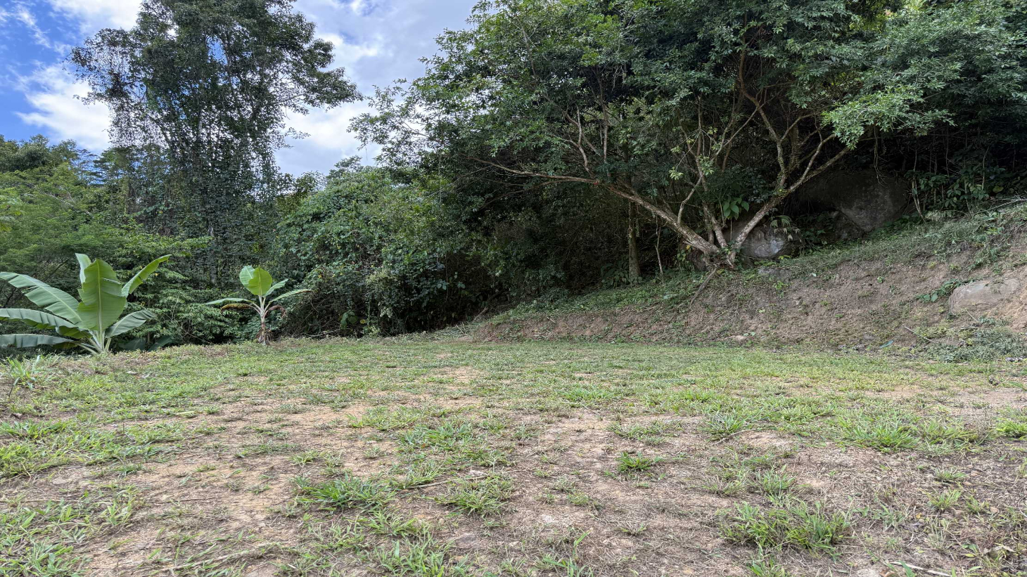 Jungle Lot with 3+ Building Sites, Legal Water, Electricity on Public Road with Big Valley & Mountain Views near San Josecito Costa Rica selected