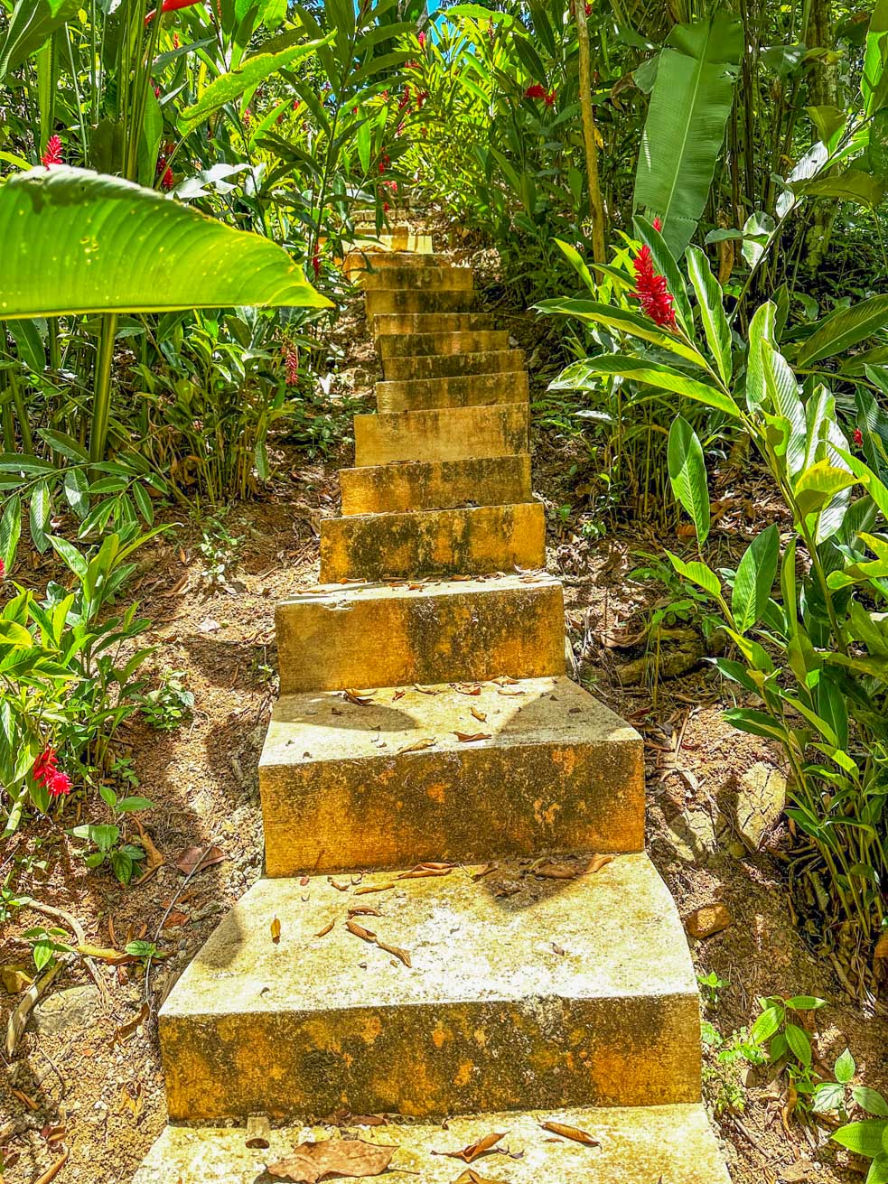 1-Bedroom Jungle River Retreat with Room to Build Your Dream Home in the Heart of Ojochal selected