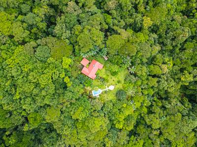Serene Costa Rican Jungle Retreat with Waterfalls & Wildlife image 3