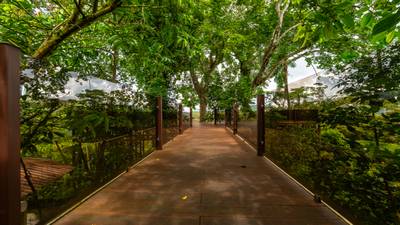 Where the Journey Begins | Private Jungle Estate at Nauyaca Waterfalls image 1
