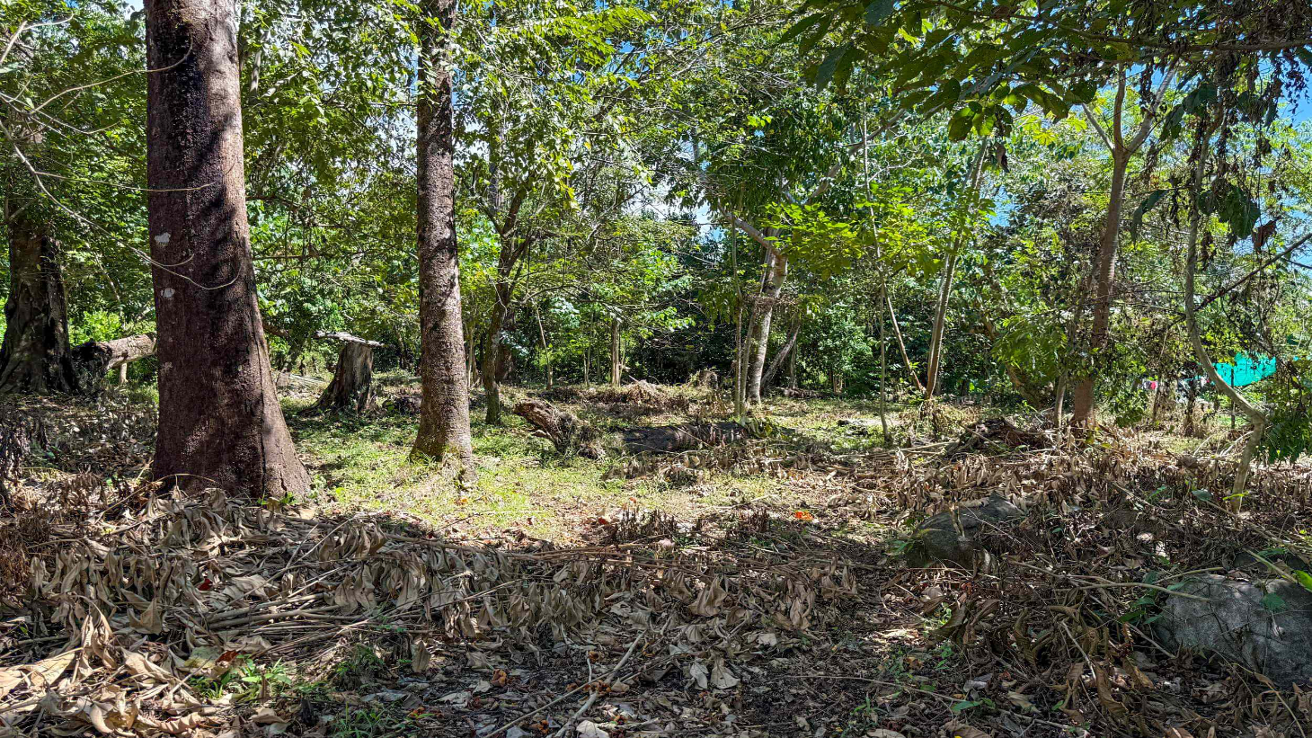 Easy-Access Building lot with Paved Road Access & All Utilities Available on a Flat Half-Acre in Ojochal Costa Rica selected