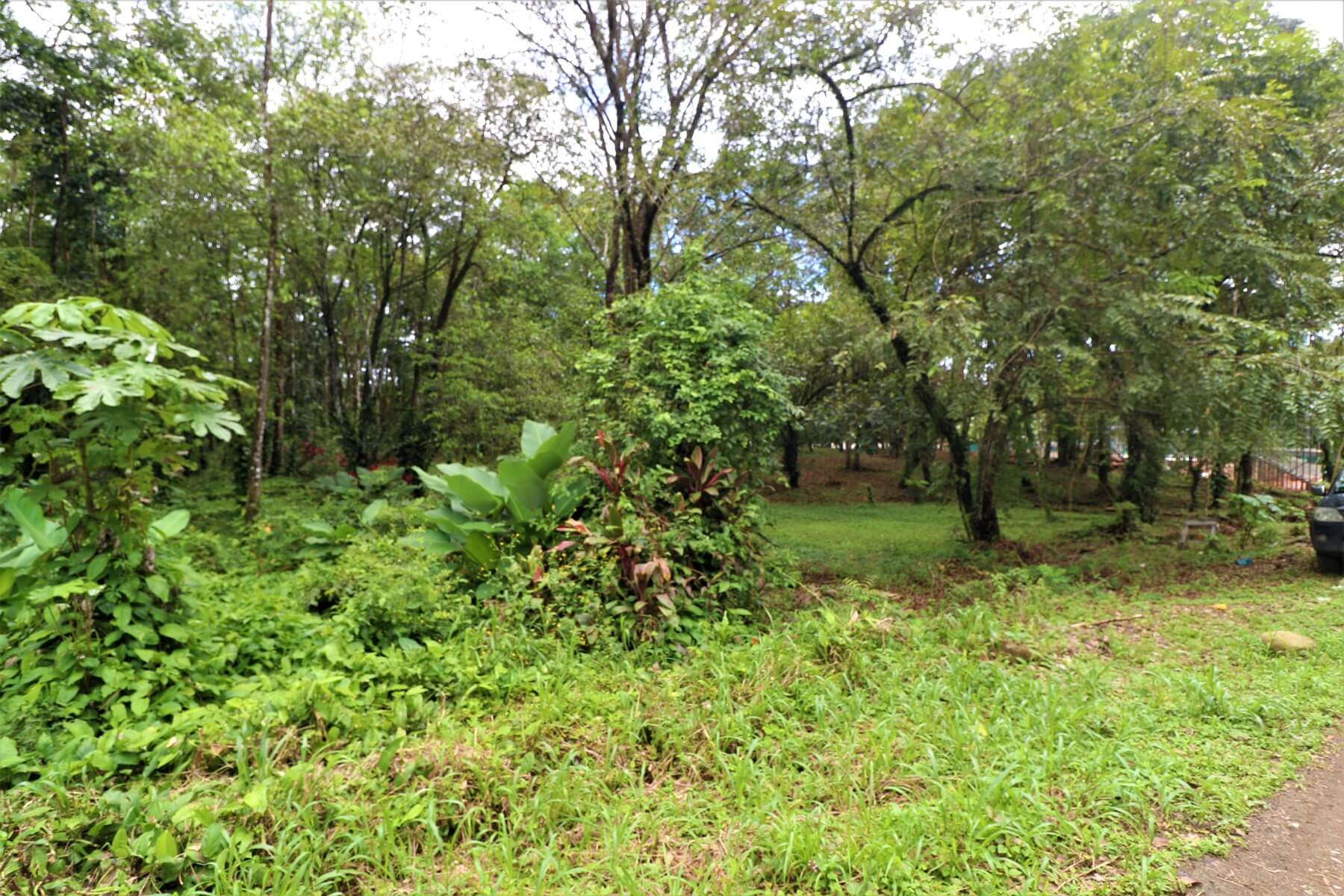Prime Commercial Property In Uvita selected