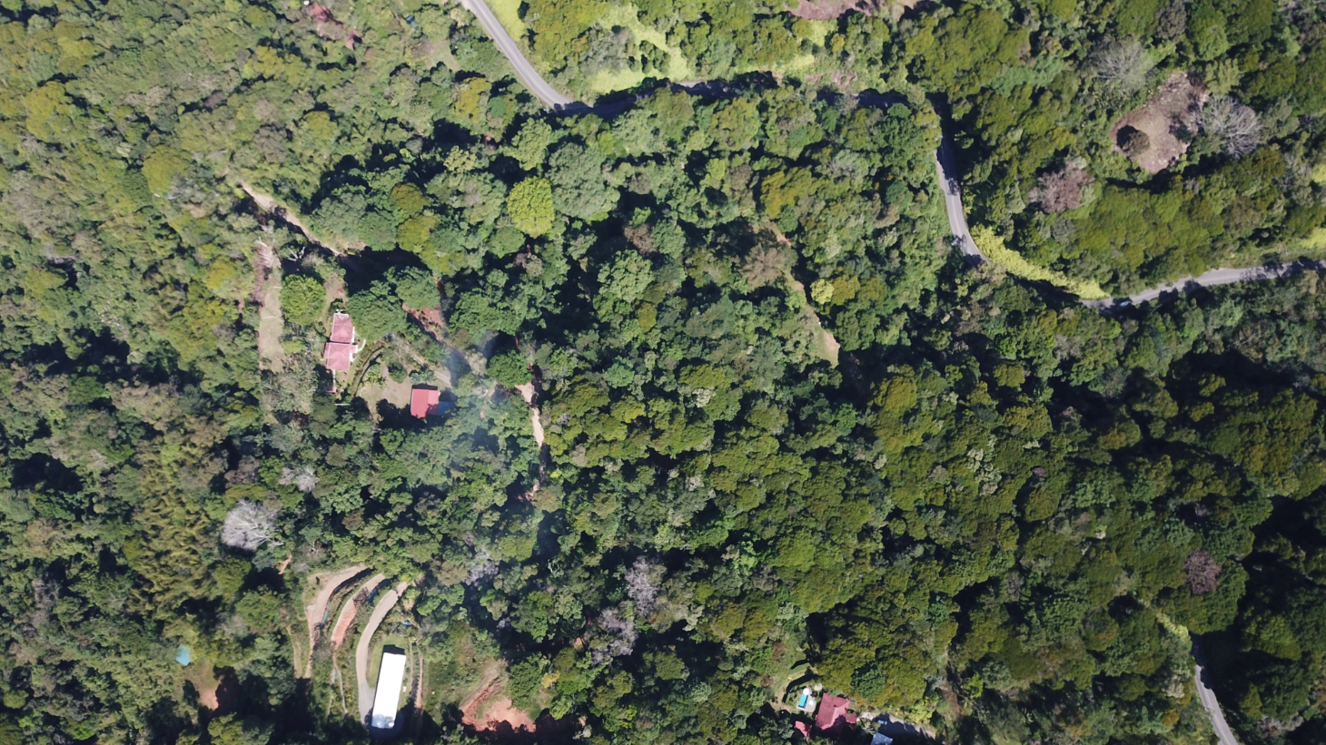 Build Ready Home Site with Easy Access in a Lush Rainforest Setting selected