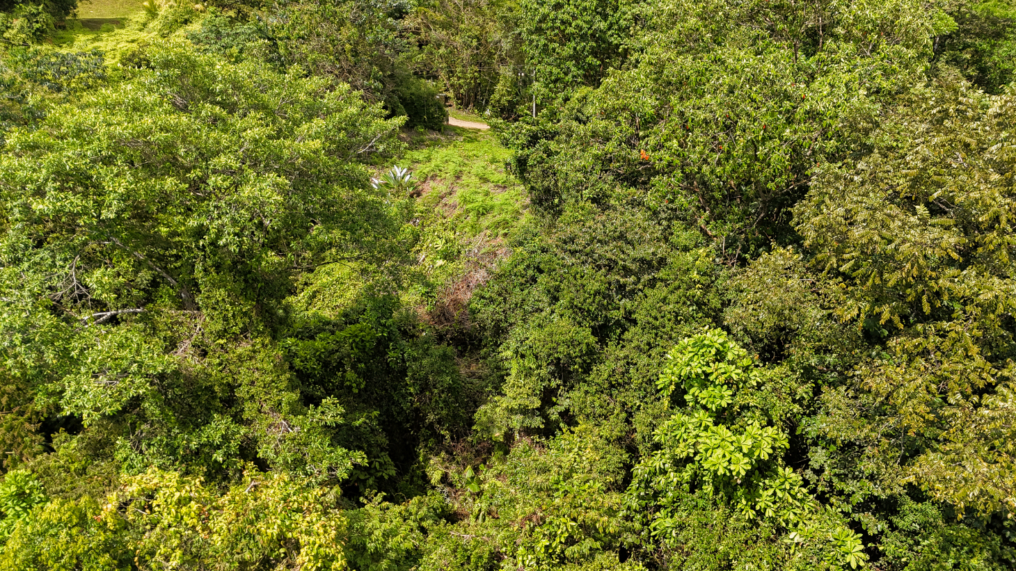 Jungle Lot for Sale in Ojochal With River & Waterfall selected